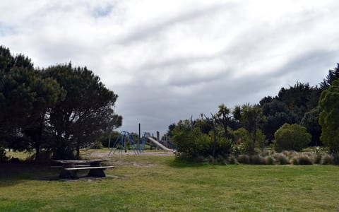 Grassed park area with trees and playground equipment in background