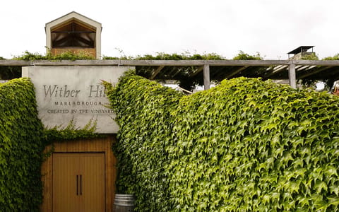 Winery building entrance covered in climbing vines