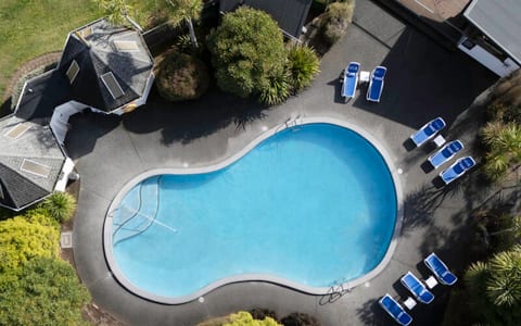 Aerial view of curved outdoor pool with sun loungers and surrounding gardens