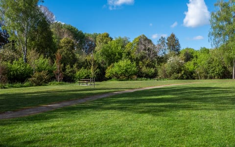 Open grassy park clearing with trees and a picnic bench