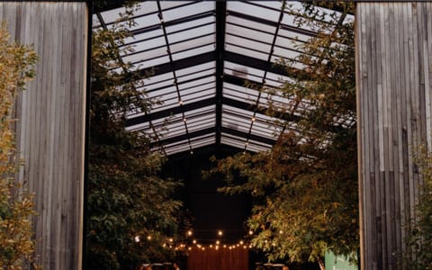 Glass-roofed pavilion interior with trees growing inside, viewed from entrance at night