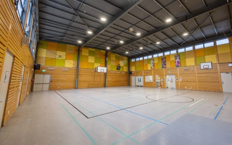 Large sports hall with timber wall panels and coloured acoustic ceiling tiles