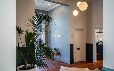 Blue-painted hallway interior with timber floors, large indoor plant, globe pendant lights, and white corniced ceilings