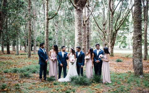 Wedding party among silver birch trees on a lawn scattered with autumn leaves
