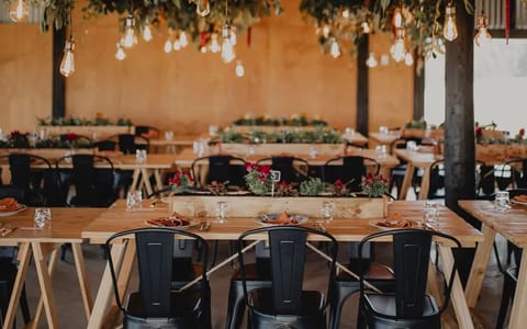 Open timber shed interior with long wooden tables, hanging greenery, and Edison bulbs