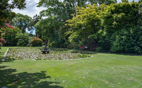 Formal garden with a lily pond, central fountain, and trees on a sunny day
