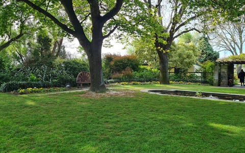 Landscaped garden with lawn, mature trees, bench and water feature
