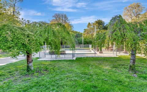 Grass lawn area with weeping trees and fenced court beyond
