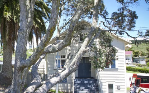 White weatherboard hall with large trees framing the entrance and steps