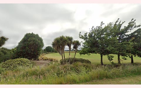 Open grassed reserve with trees and planting, overcast sky