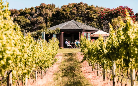 Dark timber pavilion amid vineyard rows with trees beyond, people seated outside under umbrella