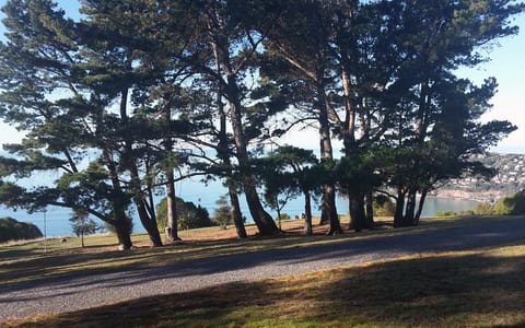 Grassed reserve with trees and ocean view visible in background