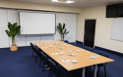 Blue-carpeted meeting room with rectangular table, chairs, projection screen, and two potted plants