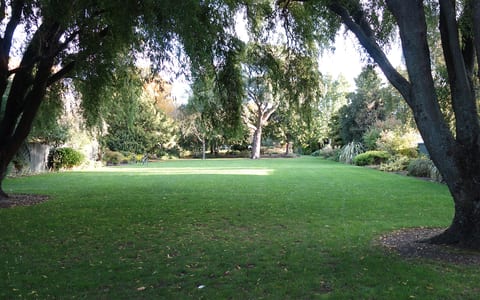 Open grass lawn area surrounded by mature trees