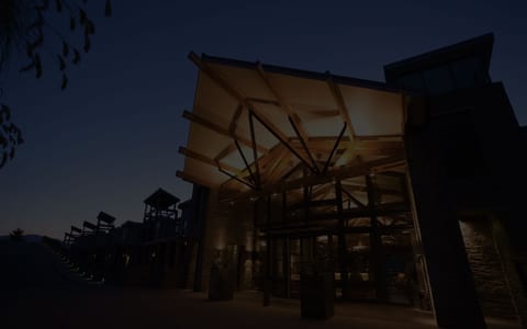 Dark building with large timber canopy over entrance, lit from below, stone cladding at night