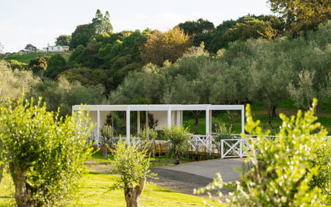 White steel-framed pavilion with glazed sides set among trees on a hillside, lawn and path in foreground
