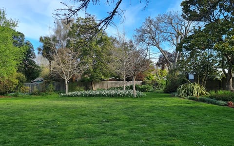 Grassed garden lawn area surrounded by trees and garden borders