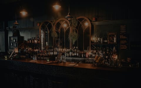 Dark timber bar with arched mirror panel, hanging plants, and rows of bottles