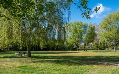 Grassy park area with trees and a picnic bench in dappled shade