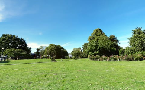 Open park lawn with mature trees and flowering garden bed