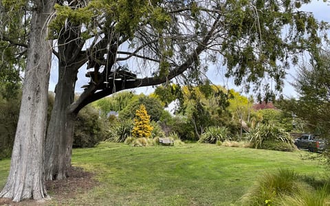 Park lawn with large tree and treehouse structure, native plantings in background