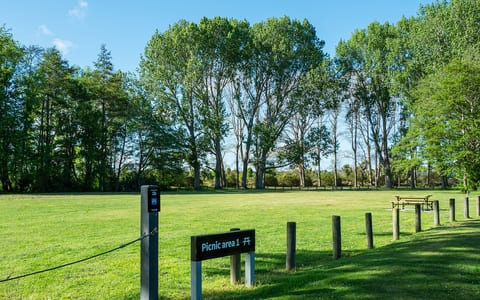 Open grassy clearing surrounded by tall trees in a park