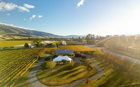 Aerial view of a white event marquee and low building set among autumn vineyards with hills behind
