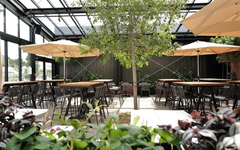 Glass-roofed atrium dining area with timber tables, black chairs and trees growing inside