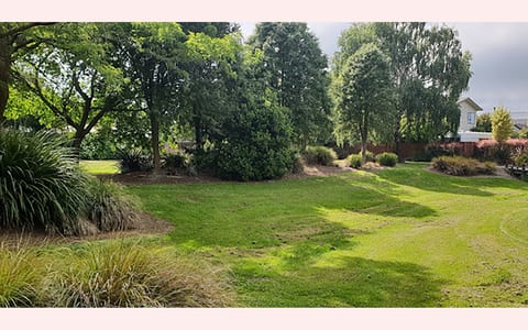Grassed reserve with trees and mixed planting