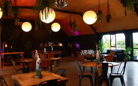 Dark-ceilinged bar venue with hanging plants, globe pendants and timber furniture