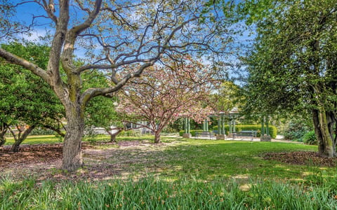 Park garden with mature trees and a pergola structure in the background