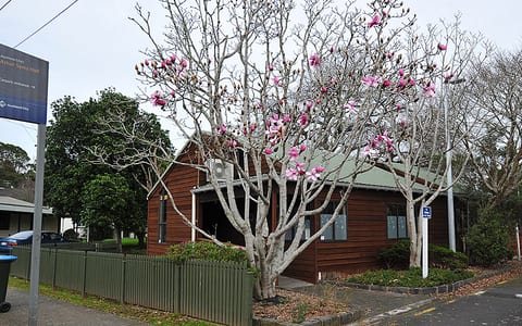 Weatherboard hall exterior with flowering tree in foreground