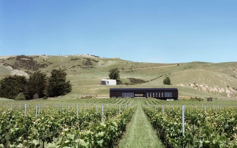 Dark pavilion building set in vineyard rows with rolling hills beyond