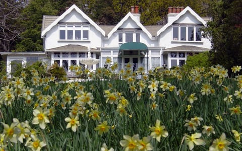 White heritage homestead building with gabled roofline fronted by daffodils