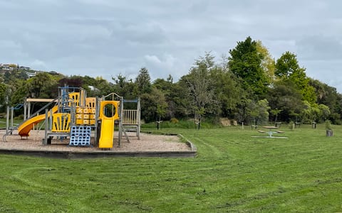 Open grass reserve with playground equipment and trees
