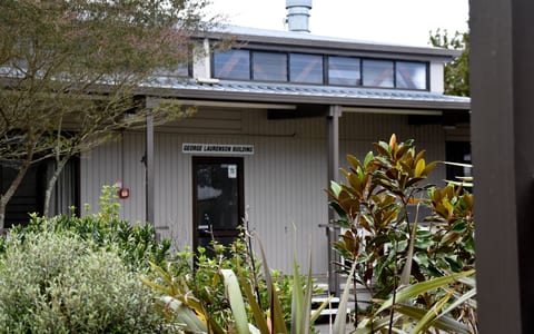 Single-storey timber-clad retreat building with planting in the foreground