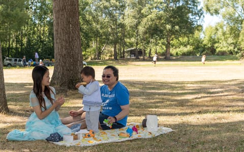 Open grassy picnic area with sign, bollards and trees in a park