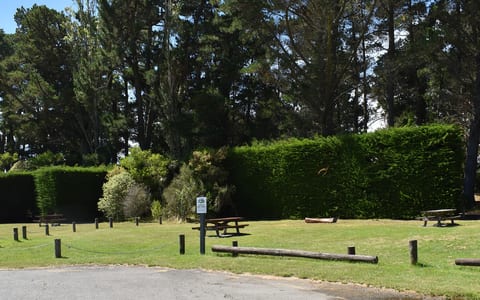 Sheltered picnic area with tables, hedging and tall trees
