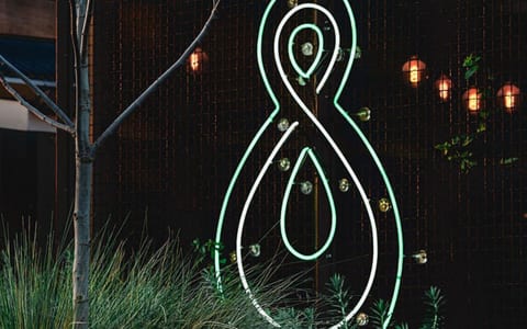 Neon infinity symbol artwork on dark timber exterior wall with planting in foreground