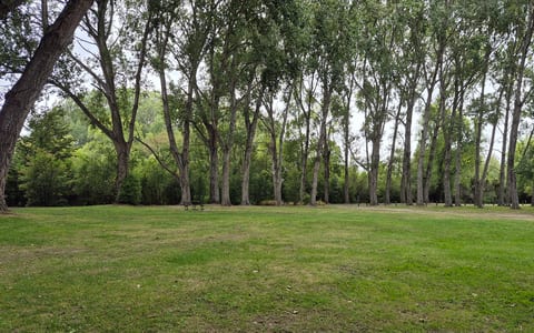 Grassy park area with trees and a picnic table in dappled shade