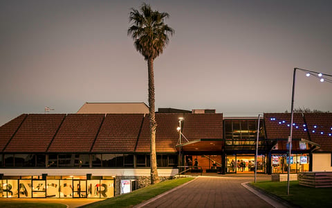 Low-rise arts centre exterior at dusk with a tall palm and festoon lights along the facade