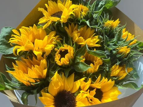 Sunflowers