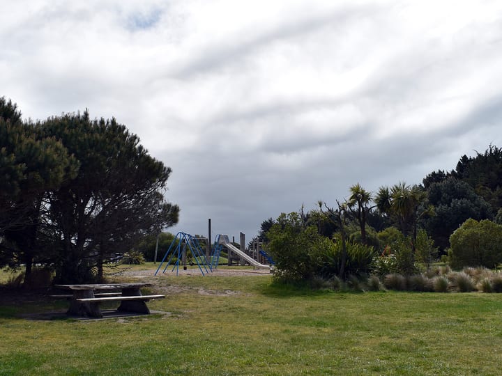 Grassed park area with trees and playground equipment in background