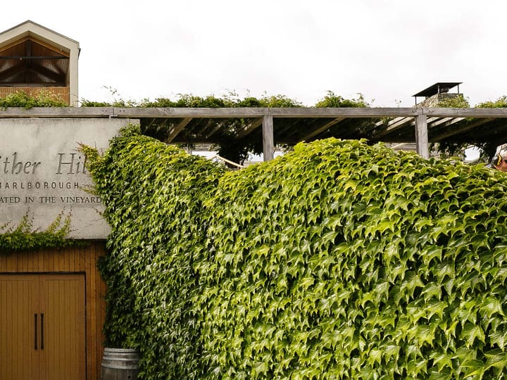 Winery building entrance covered in climbing vines
