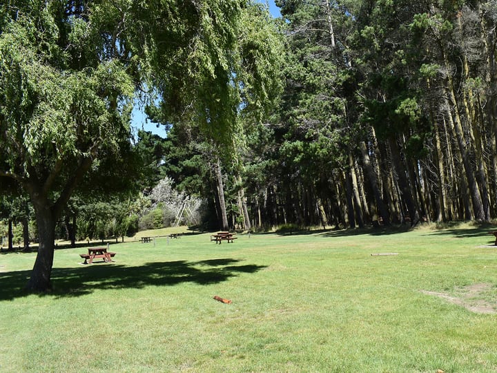 Open grassed picnic area with tables and tall trees