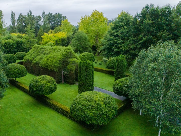 Aerial view of clipped green topiary garden with a living hedge structure amid lawns and trees