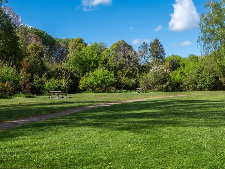 Open grassy park clearing with trees and a picnic bench