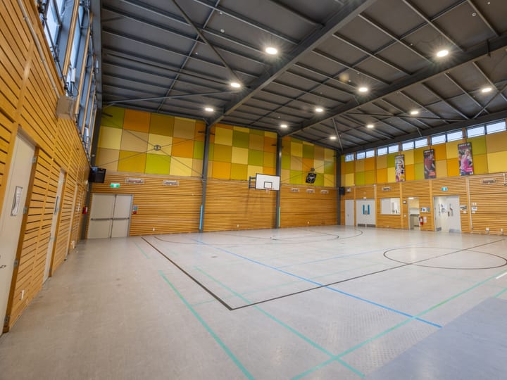 Large sports hall with timber wall panels and coloured acoustic ceiling tiles