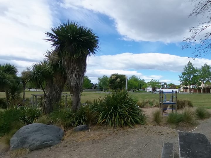 Open park area with native plantings, grass, and small play structure