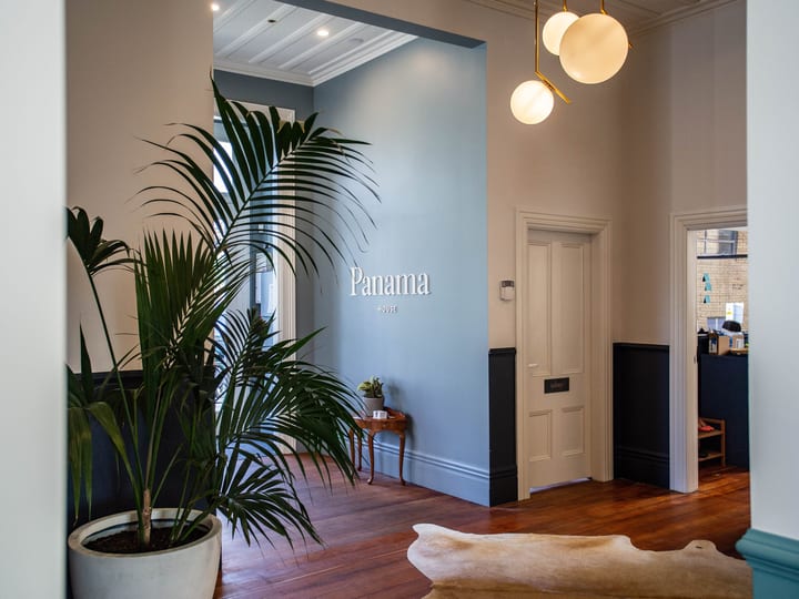 Blue-painted hallway interior with timber floors, large indoor plant, globe pendant lights, and white corniced ceilings